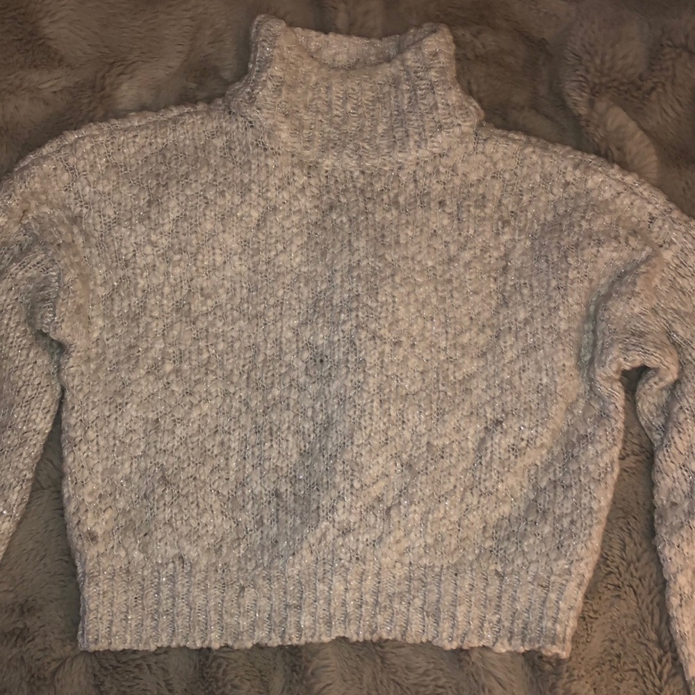 Sparkly Grey Turtleneck Sweater (Hollister)